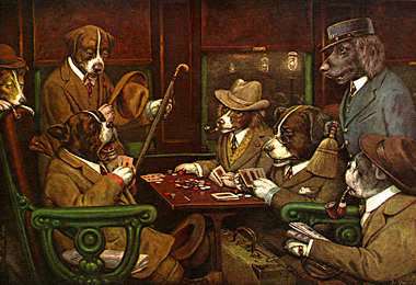 poker, doggie style