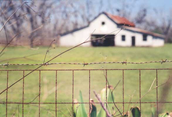 depth of field